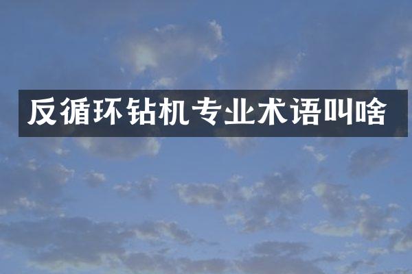 反循環(huán)鉆機專業(yè)術(shù)語叫啥