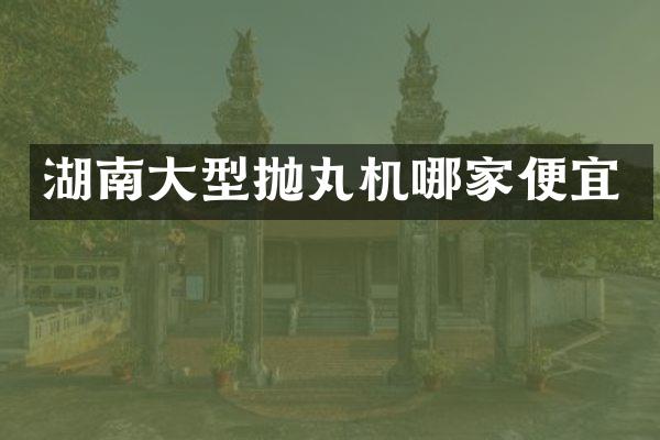 湖南大型拋丸機(jī)哪家便宜