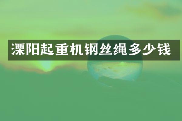 溧陽起重機(jī)鋼絲繩多少錢