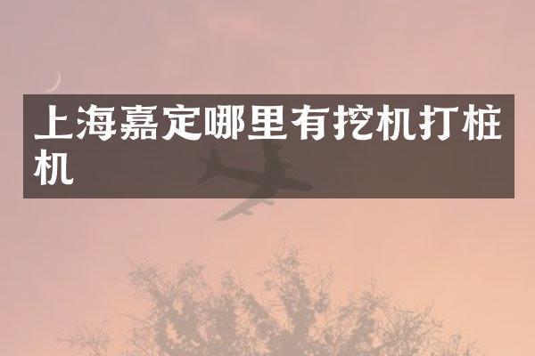 上海嘉定哪里有挖機打樁機