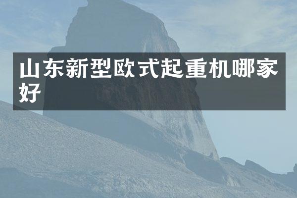 山東新型歐式起重機哪家好