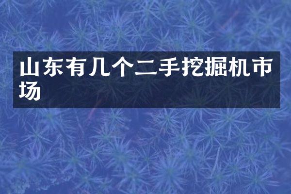 山東有幾個(gè)二手挖掘機(jī)市場(chǎng)