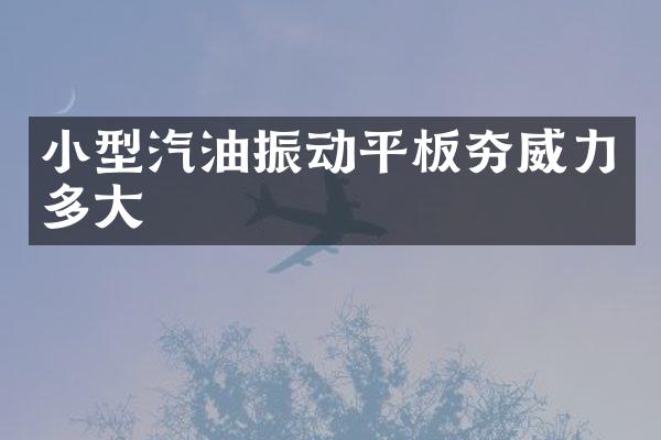 小型汽油振動平板夯威力多大