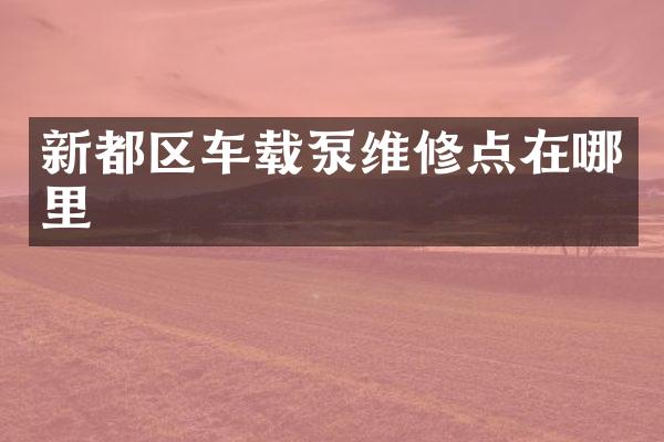 新都區(qū)車載泵維修點(diǎn)在哪里