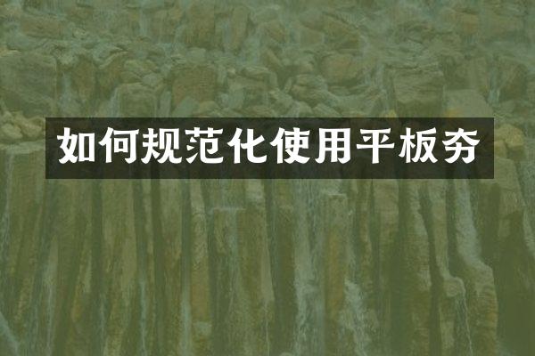 如何規(guī)范化使用平板夯