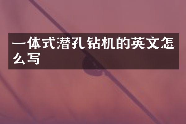 一體式潛孔鉆機的英文怎么寫