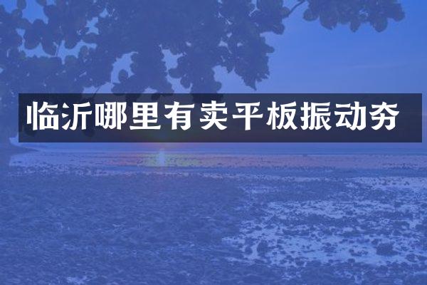 臨沂哪里有賣平板振動夯