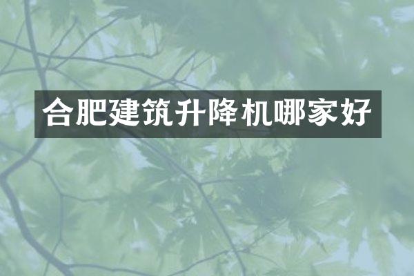 合肥建筑升降機哪家好