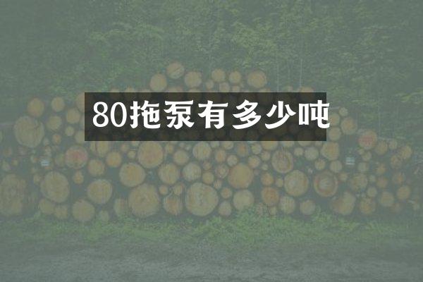 80拖泵有多少噸