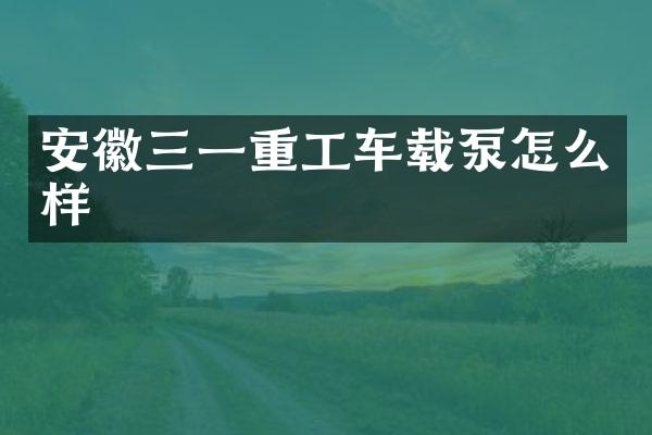 安徽三一重工車載泵怎么樣