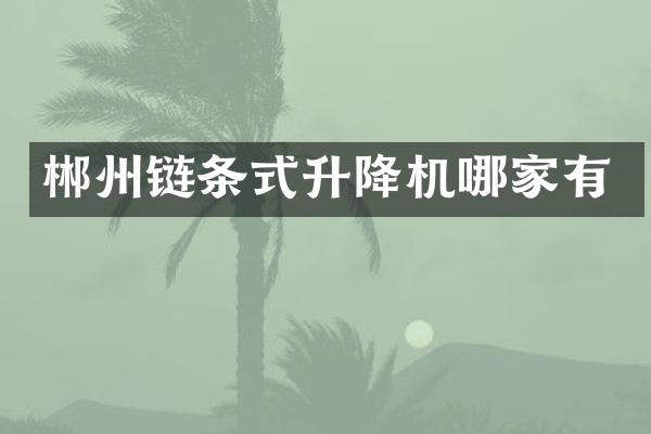 郴州鏈條式升降機哪家有