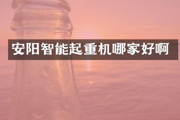 安陽智能起重機哪家好啊