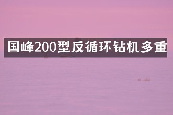 國峰200型反循環(huán)鉆機(jī)多重