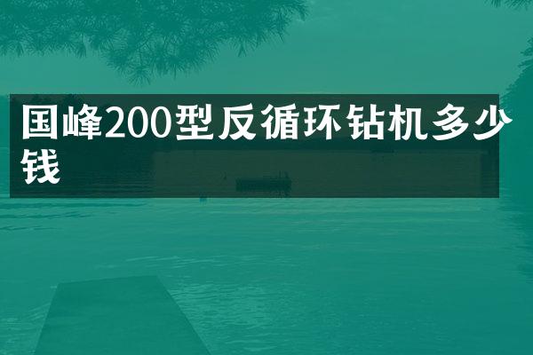 國(guó)峰200型反循環(huán)鉆機(jī)多少錢