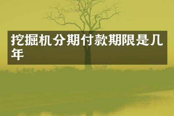 挖掘機分期付款期限是幾年