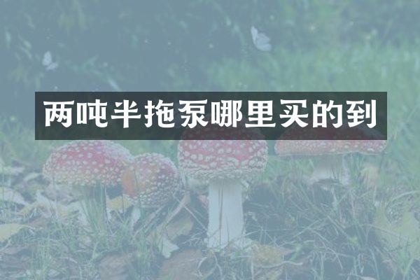 兩噸半拖泵哪里買的到