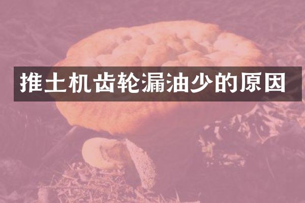 推土機(jī)齒輪漏油少的原因