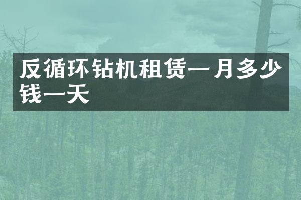 反循環(huán)鉆機(jī)租賃一月多少錢一天