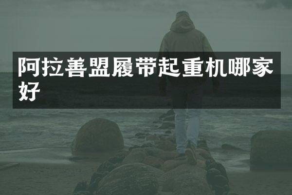 阿拉善盟履帶起重機(jī)哪家好