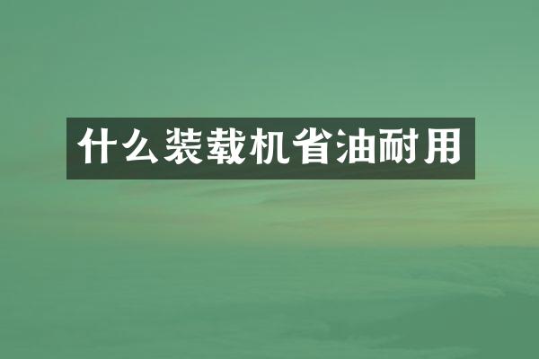 什么裝載機省油耐用