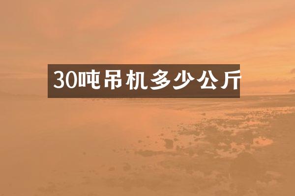 30噸吊機(jī)多少公斤