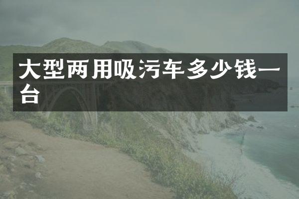 大型兩用吸污車多少錢一臺(tái)