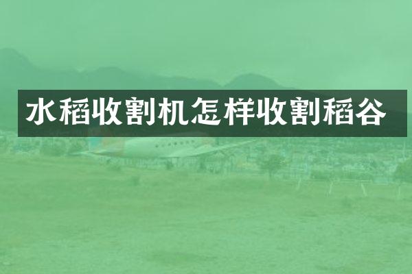 水稻收割機(jī)怎樣收割稻谷