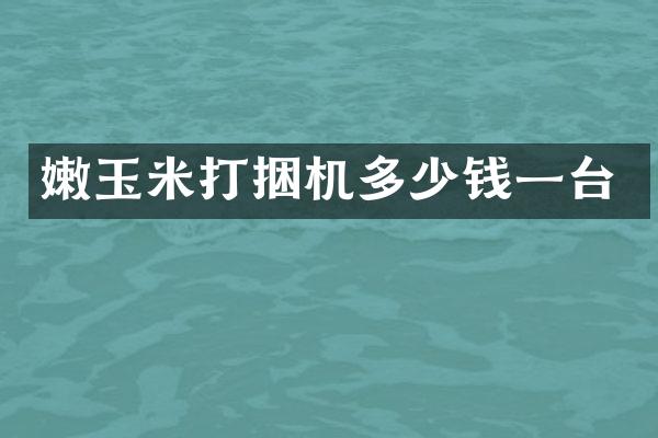 嫩玉米打捆機多少錢一臺