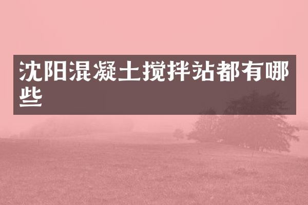 沈陽(yáng)混凝土攪拌站都有哪些