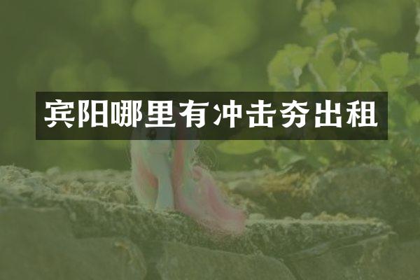 賓陽(yáng)哪里有沖擊夯出租