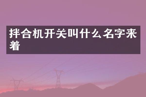 拌合機開關叫什么名字來著