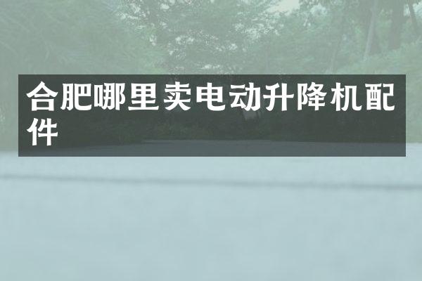 合肥哪里賣電動升降機配件