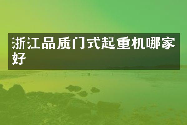 浙江品質(zhì)門式起重機哪家好