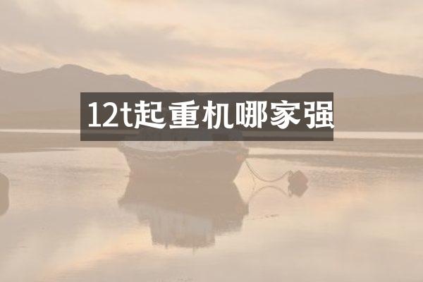 12t起重機(jī)哪家強(qiáng)