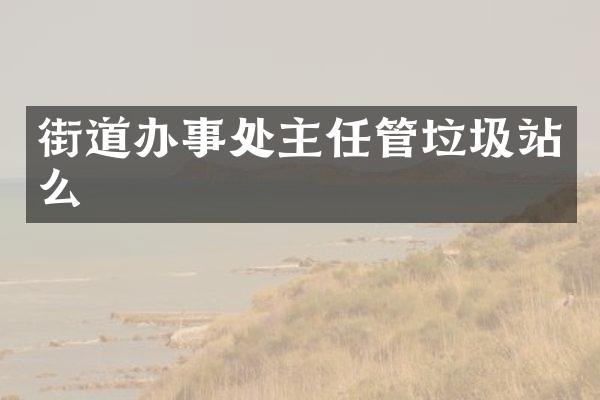 街道辦事處主任管垃圾站么