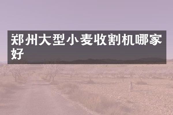 鄭州大型小麥?zhǔn)崭顧C(jī)哪家好