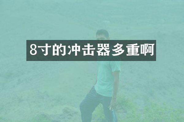 8寸的沖擊器多重啊