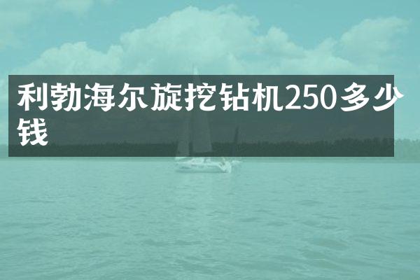 利勃海爾旋挖鉆機(jī)250多少錢(qián)