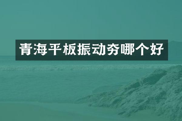 青海平板振動(dòng)夯哪個(gè)好