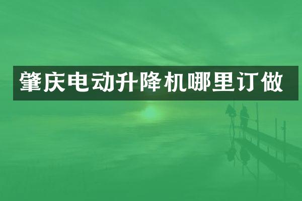 肇慶電動升降機哪里訂做