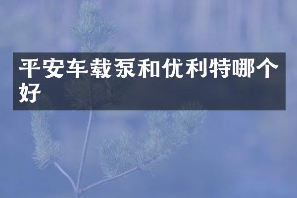 平安車載泵和優(yōu)利特哪個(gè)好