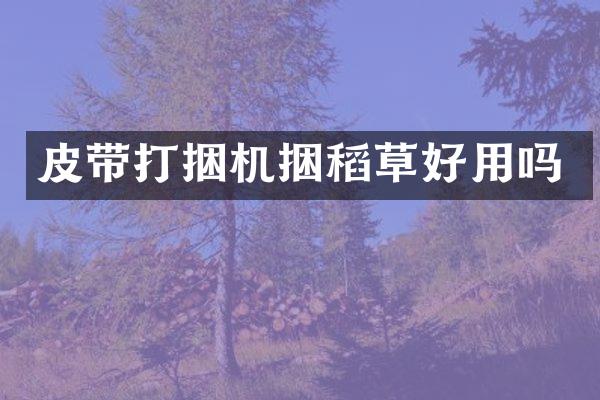 皮帶打捆機(jī)捆稻草好用嗎