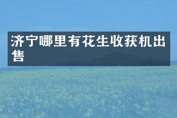 濟寧哪里有花生收獲機出售