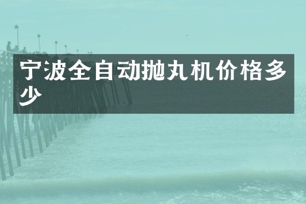寧波全自動拋丸機價格多少