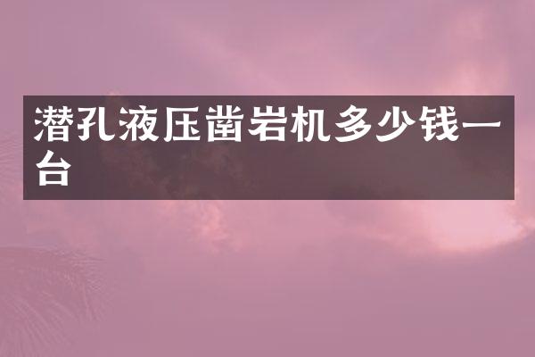 潛孔液壓鑿巖機(jī)多少錢一臺(tái)