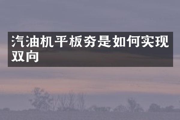 汽油機平板夯是如何實現(xiàn)雙向
