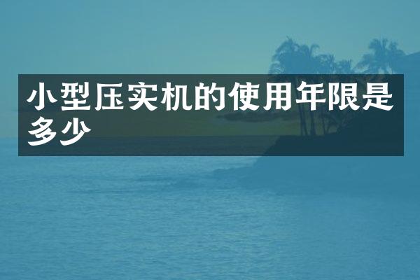 小型壓實(shí)機(jī)的使用年限是多少