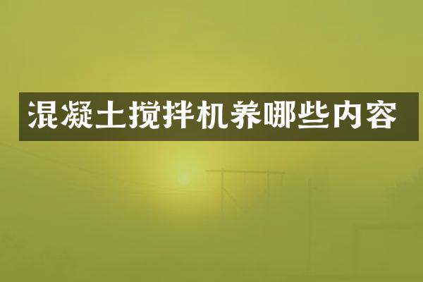 混凝土攪拌機(jī)養(yǎng)哪些內(nèi)容