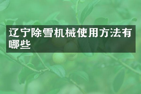 遼寧除雪機(jī)械使用方法有哪些