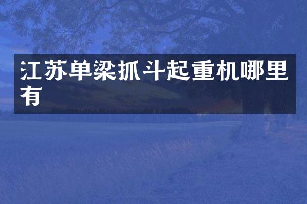 江蘇單梁抓斗起重機(jī)哪里有
